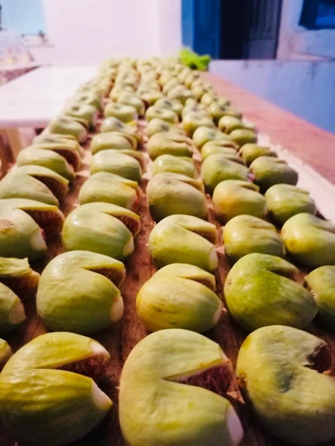 Farmers House Magarikari Ngoại thất bức ảnh